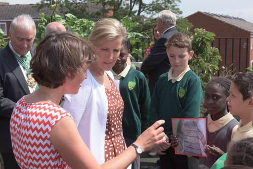 Royal Visit to Southwold’s Grow Your Own Playground_html_m2bc9fbae
